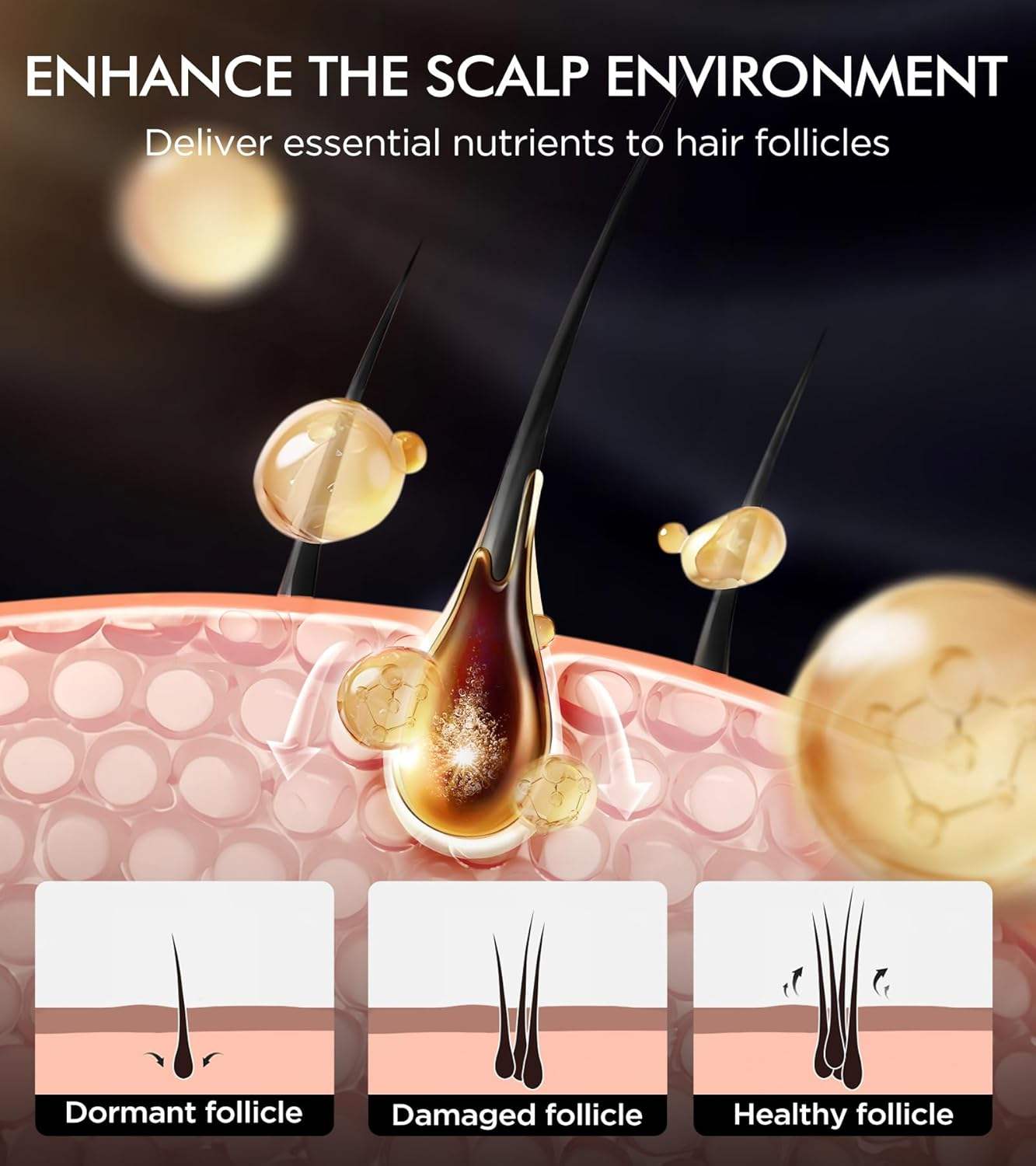 Private Label Organic Scalp Care Hair Treatment Biotin Hair Care Set Shampoo and Conditioner Fuller and Thick Hair - Image 3